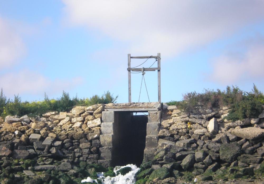 ruta por las marismas