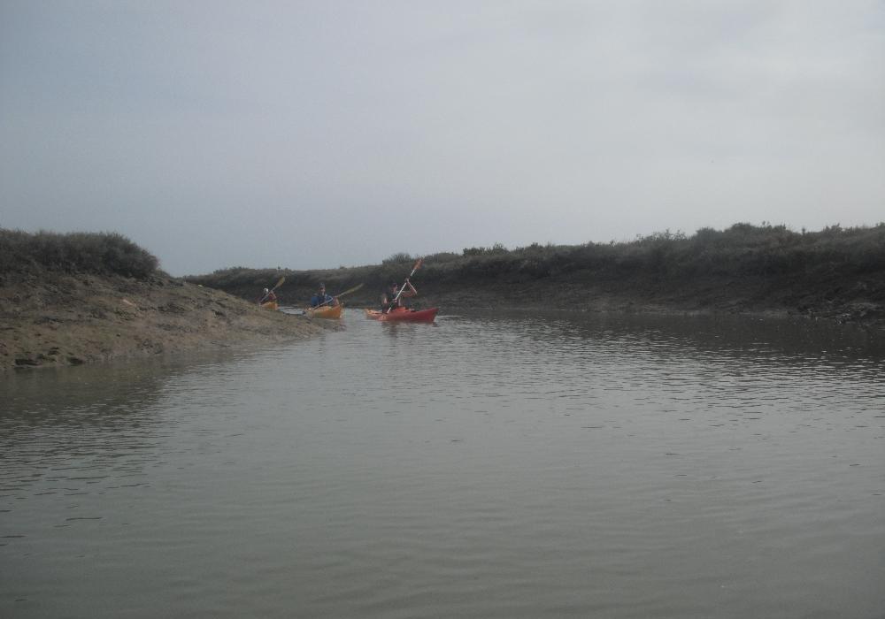 Ruta marismas