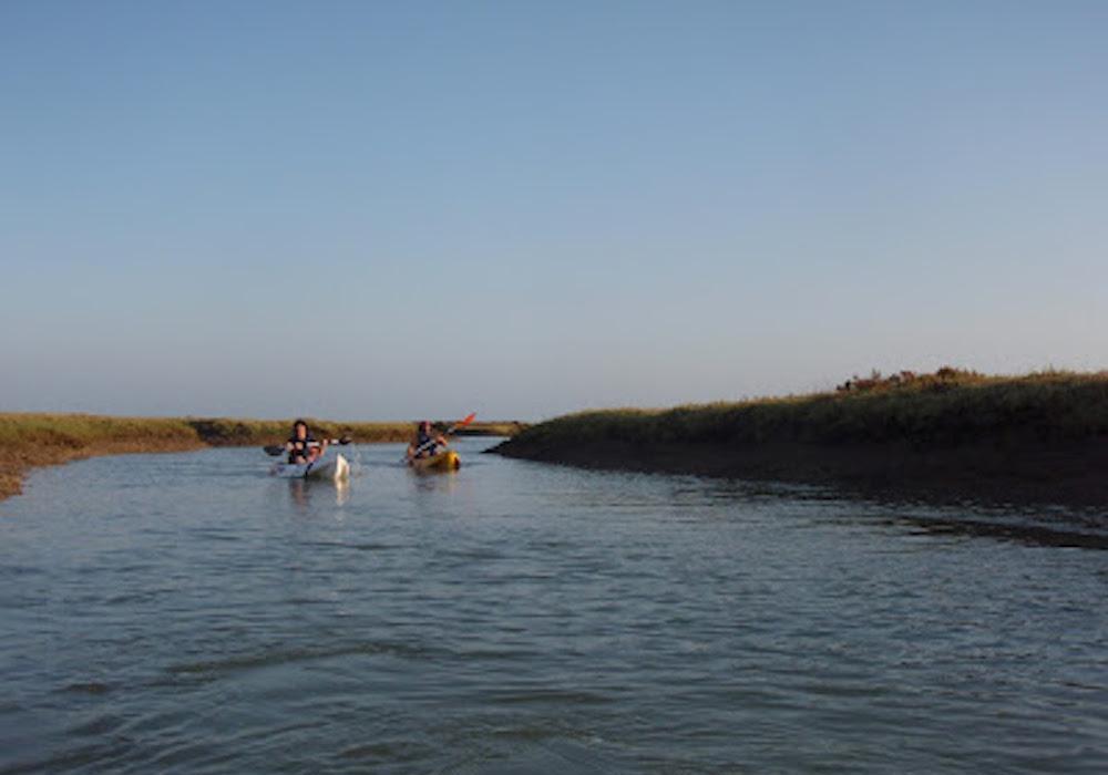 Kayakterapia marismas