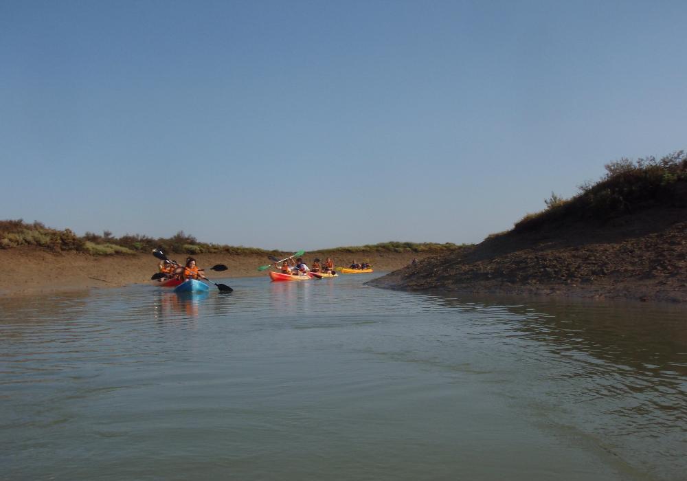 Kayakterapia marismas