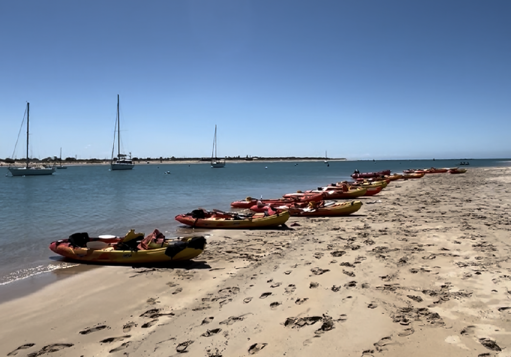 Alquiler de kayaks 1