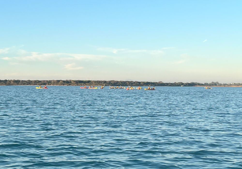 Kayakterapia marisma 02