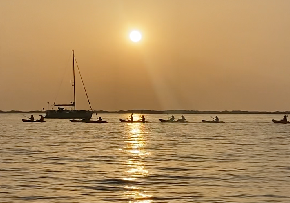 Kayakterapia marisma 03